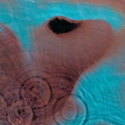 Meddle cover art