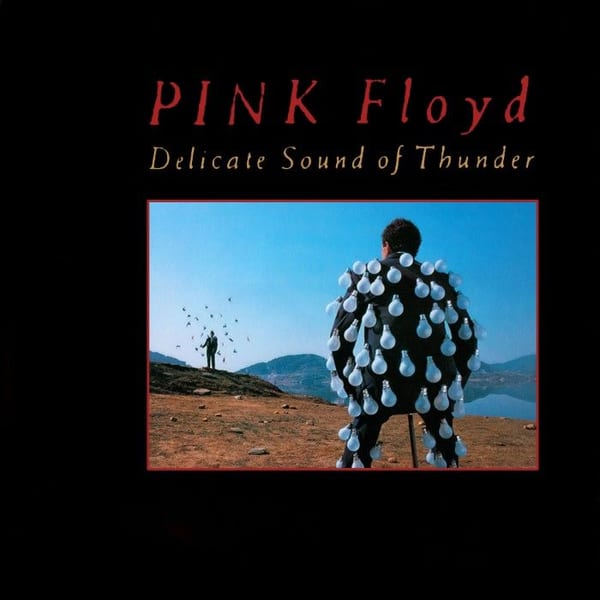 Delicate Sound of Thunder cover