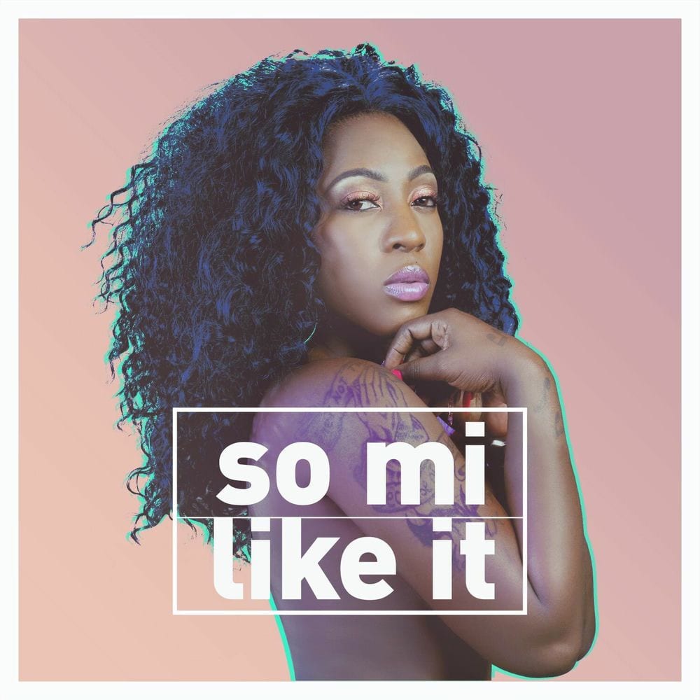 So Mi Like It cover