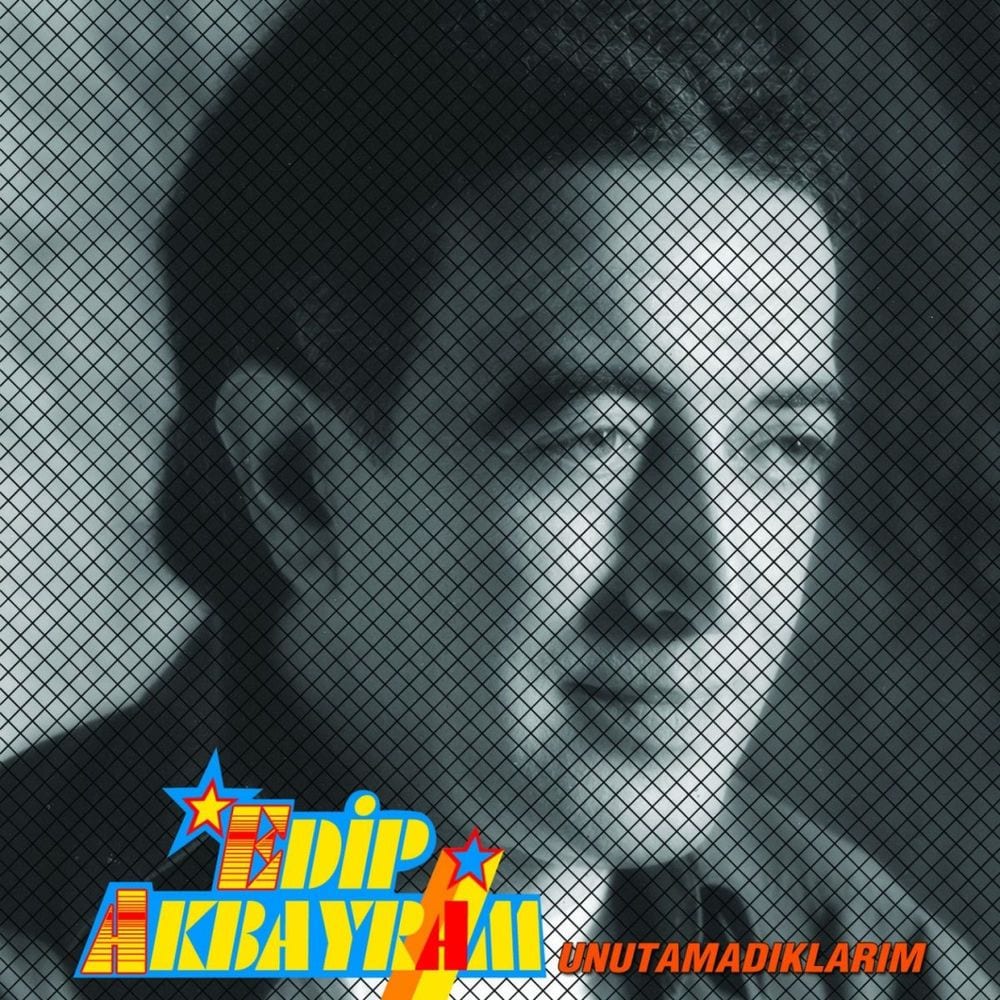 Unutamadıklarım cover