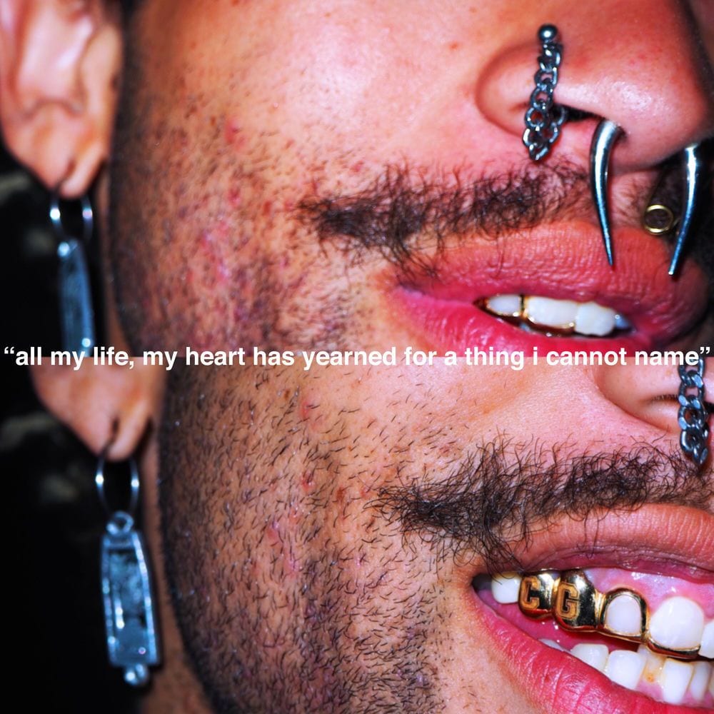 All My Life, My Heart Has Yearned for a Thing I Cannot Name cover