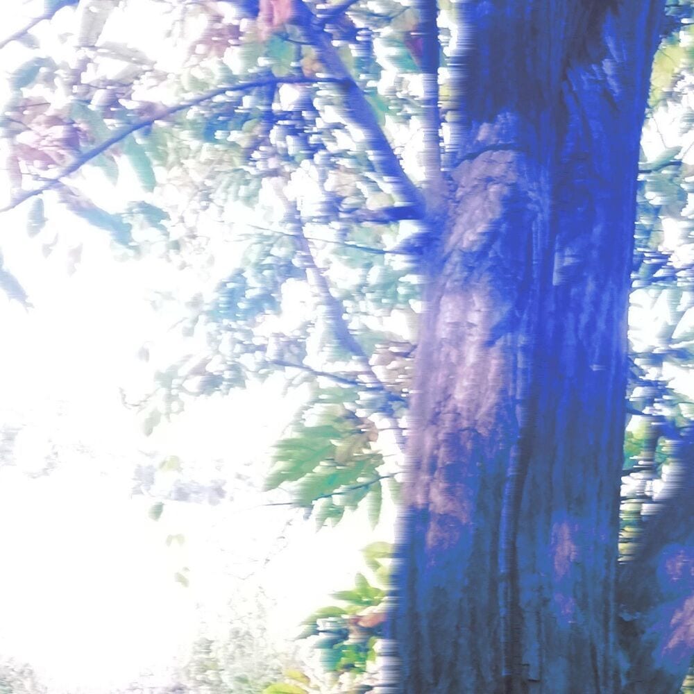 Let's Walk on the Path of a Blue Cat cover