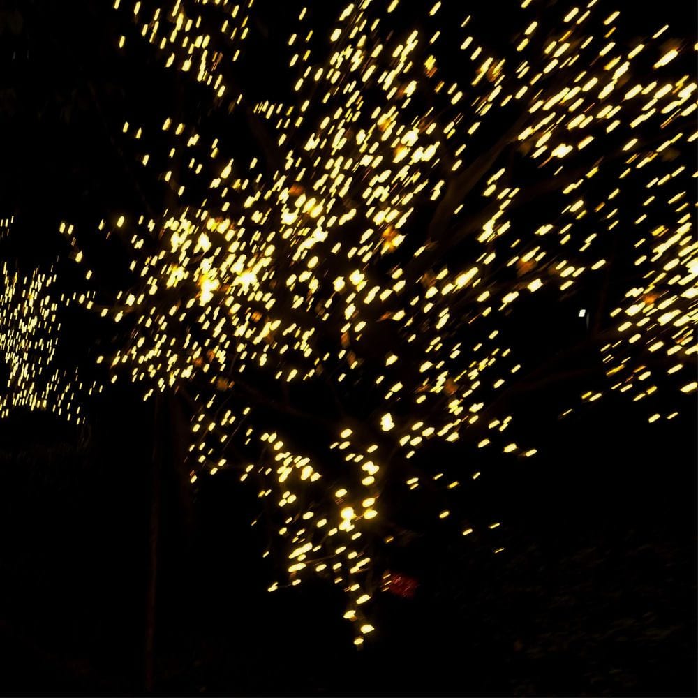 We Shine at Night cover