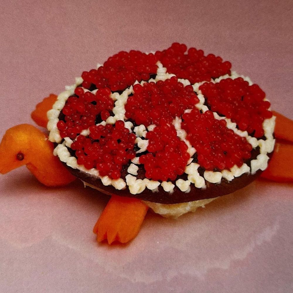 Turtle Rock cover