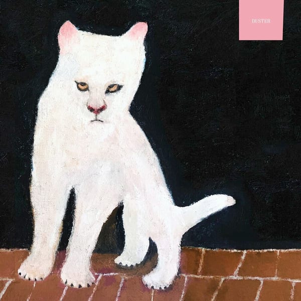 Duster cover