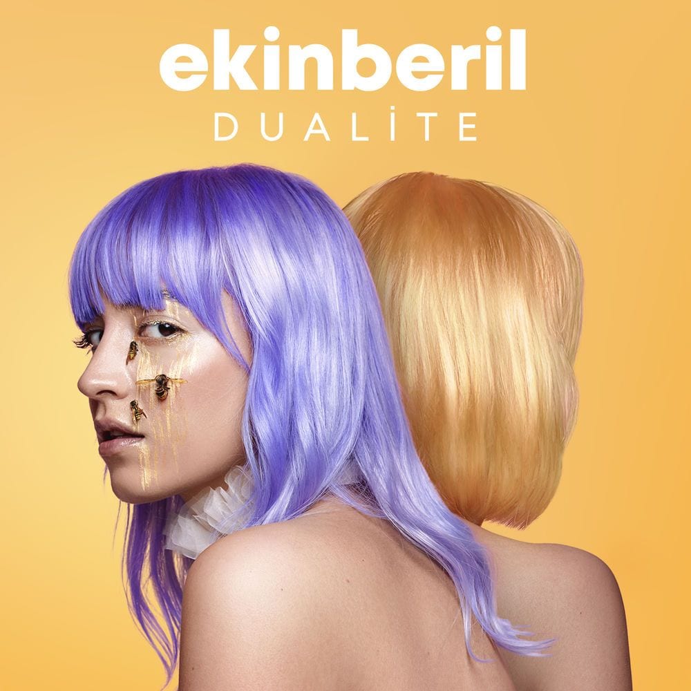 Dualite cover