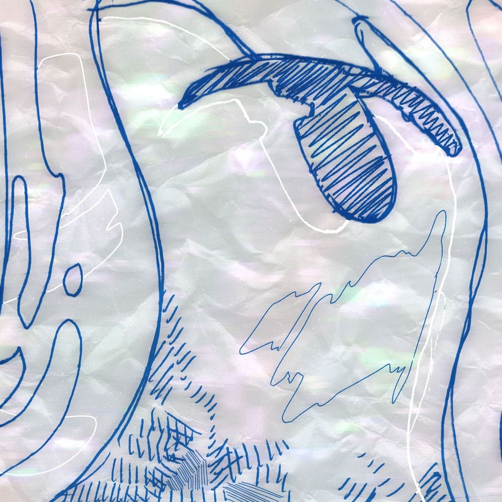 Huji cover