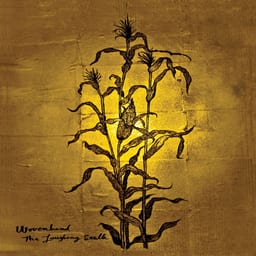 The Laughing Stalk album cover