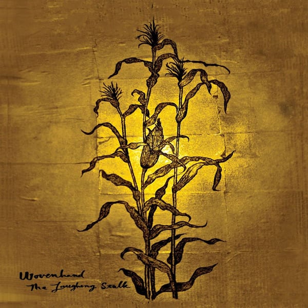 The Laughing Stalk album cover