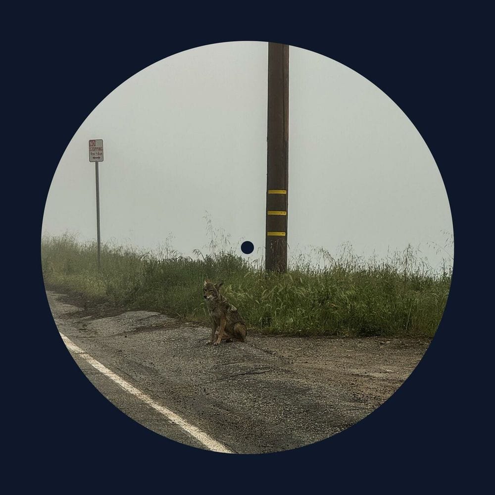 14 minutes cover
