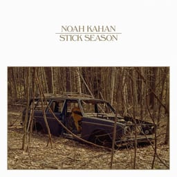 Stick Season album cover