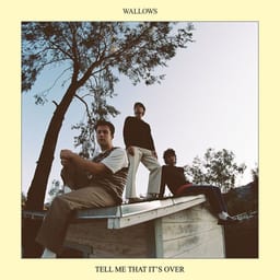 Tell Me That It's Over album cover
