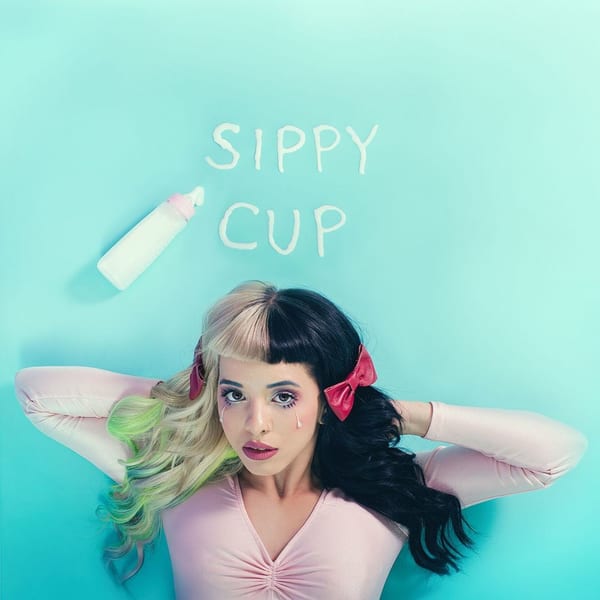 Sippy Cup cover