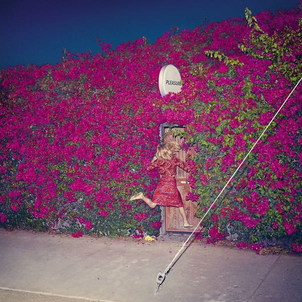 Pleasure album cover