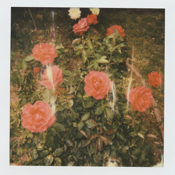 chapter 2 cover