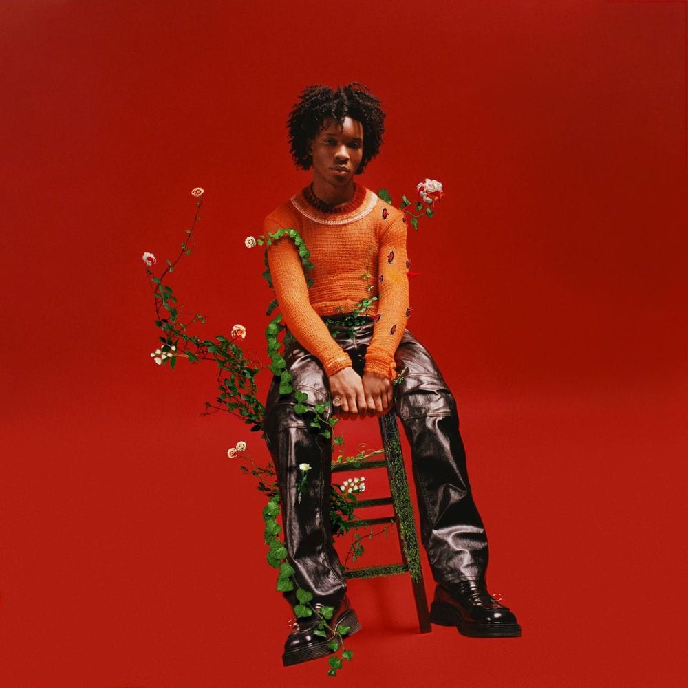 Petals to Thorns cover