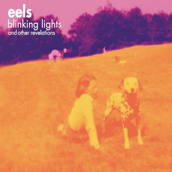 Blinking Lights and Other Revelations cover