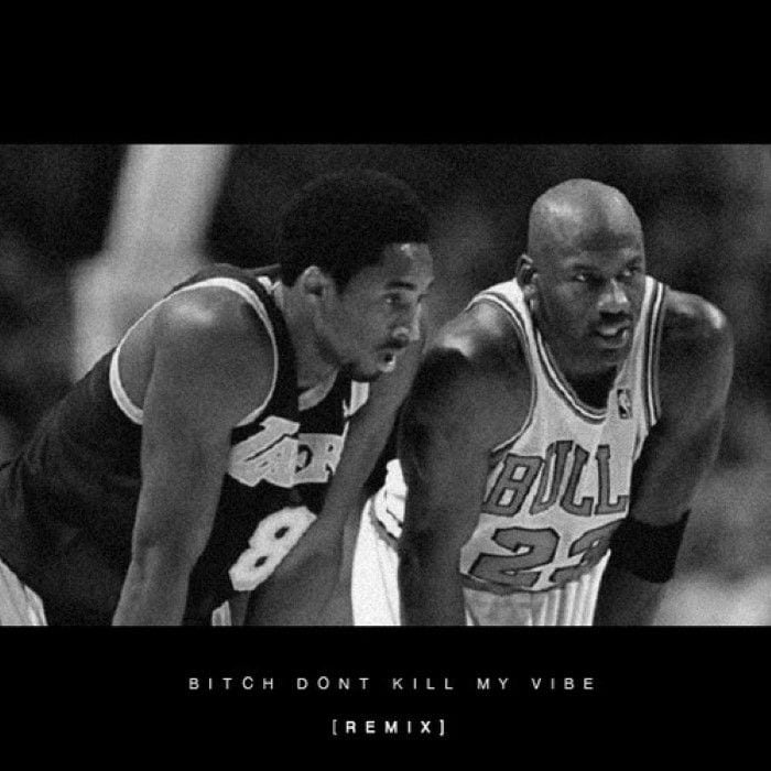 Bitch, Don't Kill My Vibe cover