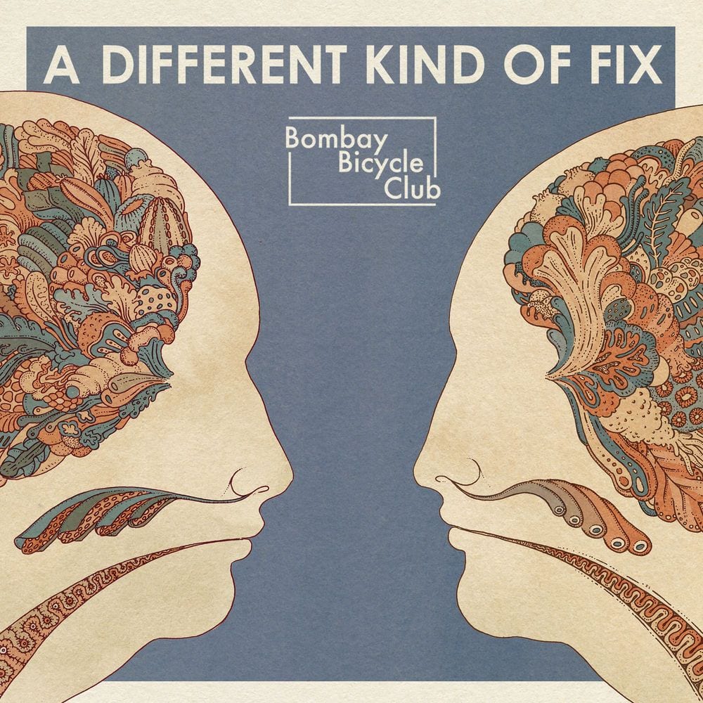 A Different Kind of Fix cover