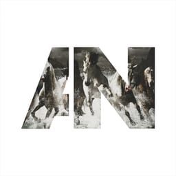 Run album cover