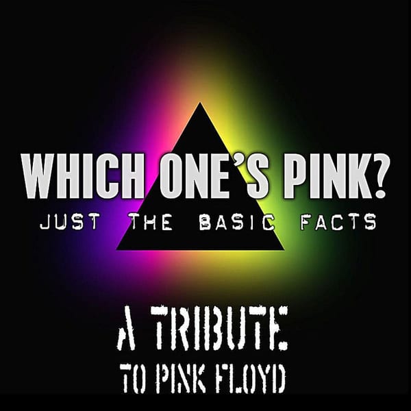 Which One's Pink?