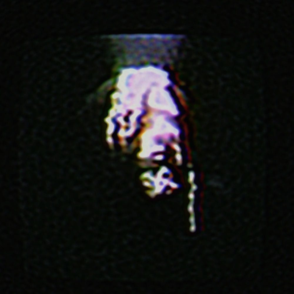 Jorj