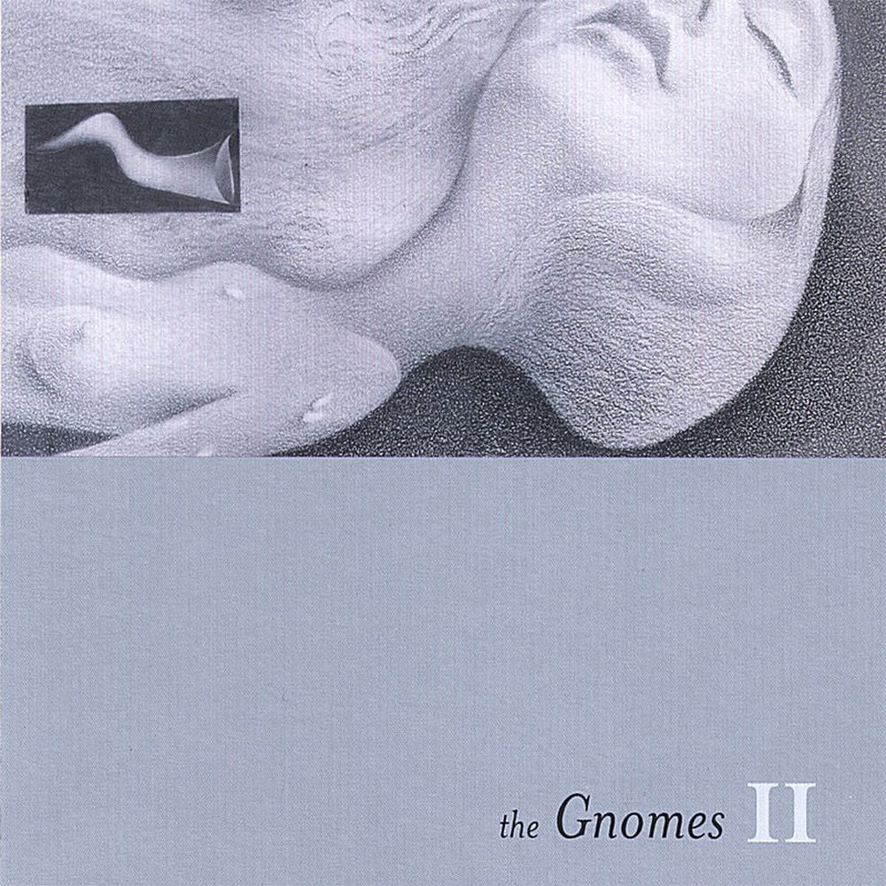 The Gnomes