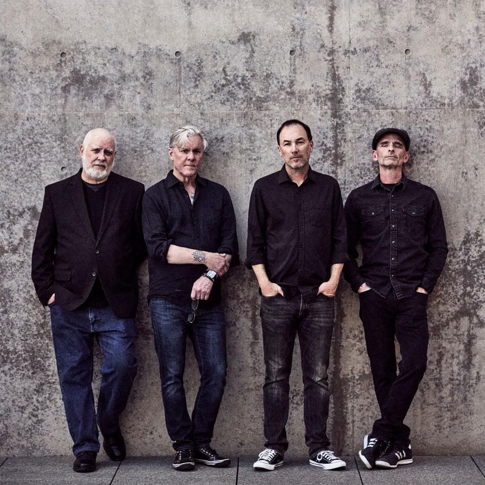 Toadies