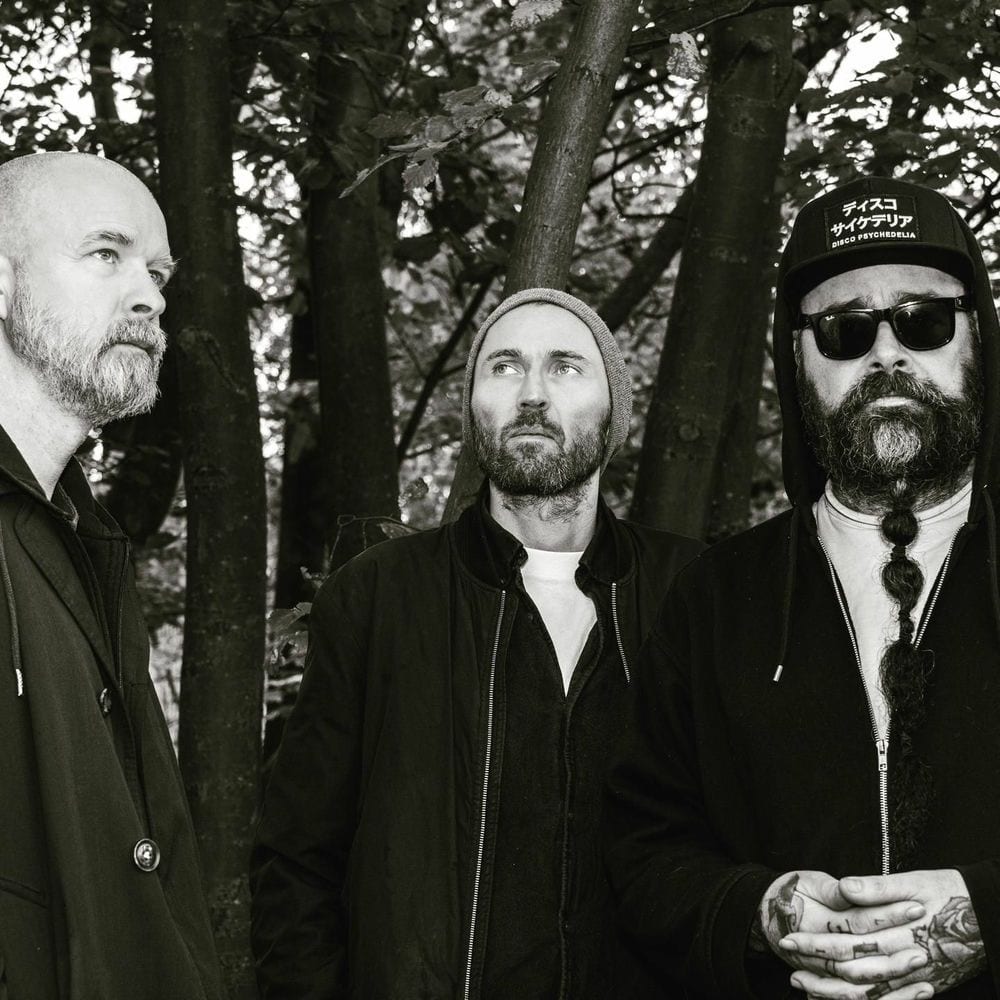 Ulver