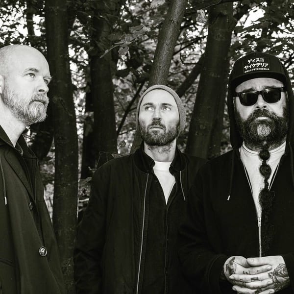 Ulver